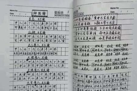 港台命理大师书评八字篇
