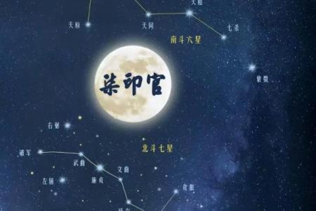 紫薇斗数看学业流年