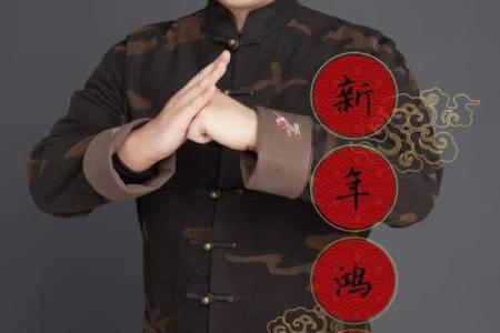 三藏起名姓名配对准吗 三藏起名网  姓名测试打分？