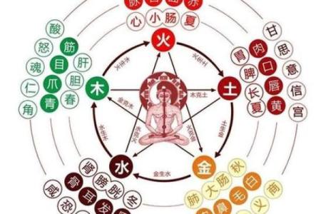 风水理论_传统文化中的科学知识有哪些