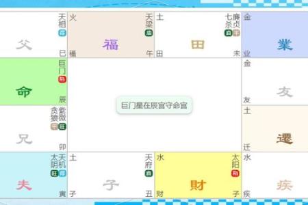巨门在紫薇斗数中什么意思