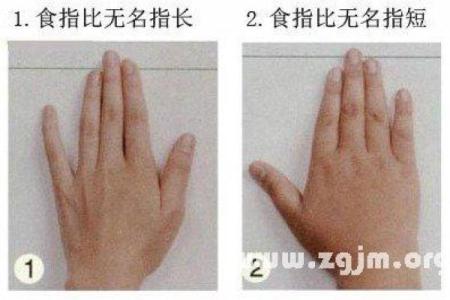 测试：食指无名指的长短决定你的一生，你的运势如何？
