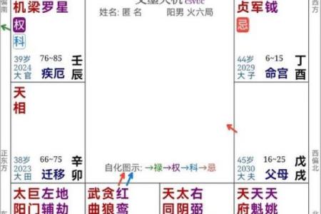紫薇斗数可以看什么