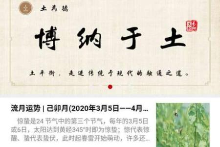 周易免费算命八卦吉凶软件