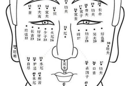 面相额头痣相图解算命