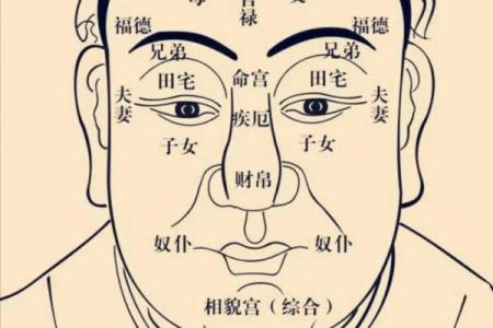 简单看紫薇斗数