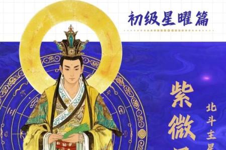 紫薇斗数代表什么