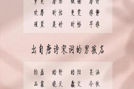 2019年6月30号寅时出生的男孩如何起名姓名