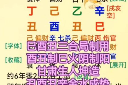 人生八字