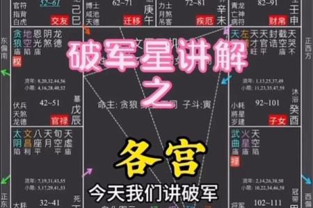 紫薇破军入疾厄宫的