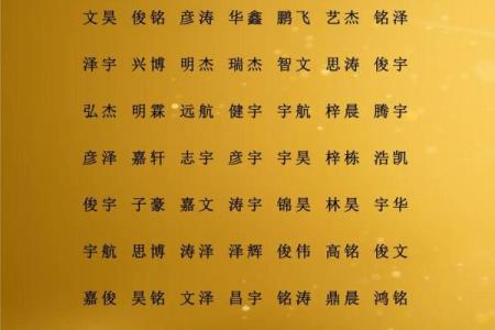 2020年腊月二十八出生男孩缺土新颖好听名字精选姓名