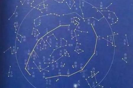 紫薇斗数看创业用什么宫位