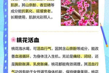 影响女性桃花的风水有哪些特点