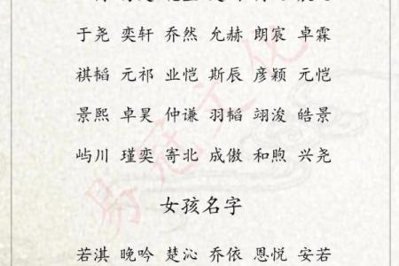 晚上10点出生的属鸡男孩用什么字取名字合适姓名