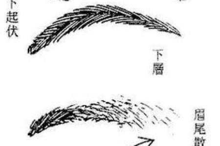 看相算命：详解脚底穴位图