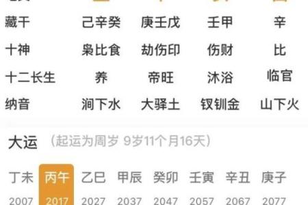 丁酉辛亥丙戍己亥八字命运