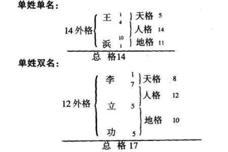 紫薇斗数外格
