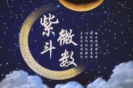 紫薇斗数中的加会是什么意思