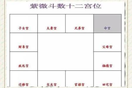 天相在命宫，紫微斗数天相星入命宫详解