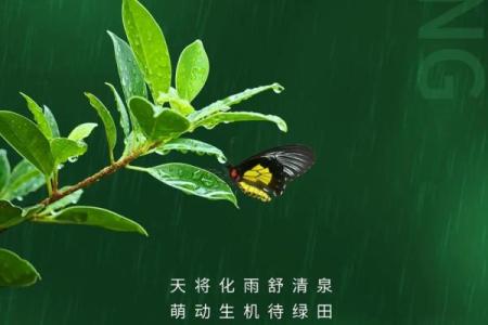 明天雨水，要谨防节气风水禁忌