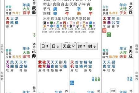 紫薇斗数流年学历