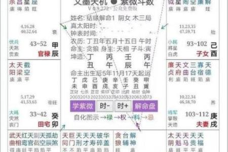 男生紫微斗数看那些 紫微斗数男命？