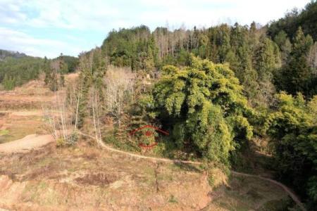 人死后如何选择好的风水墓地