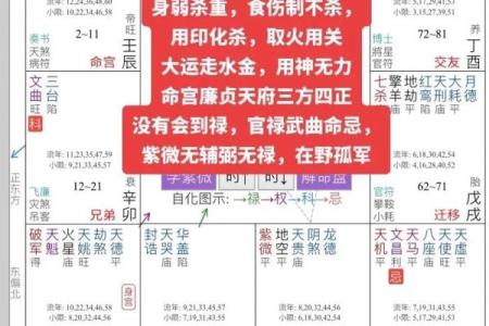 关于紫薇斗数软件安卓破解版的信息
