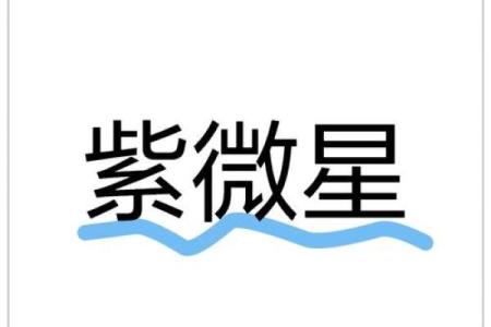 孤独的君王紫薇斗数