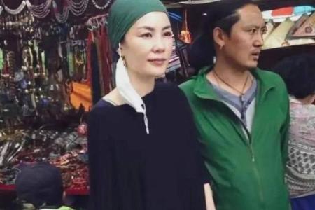 王菲紫薇斗数盘