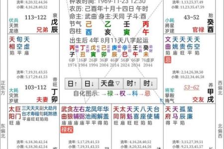 大限紫薇斗数吧