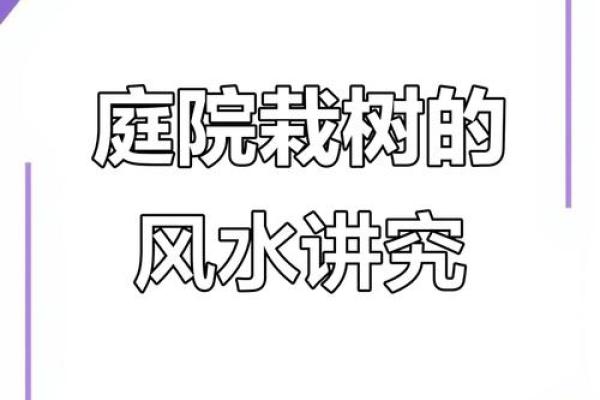 住宅树木风水布局