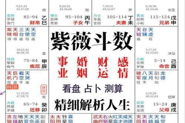 婚姻树财富船测试免费 易奇八字婚姻树财富船