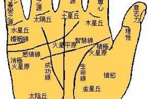 手相算命，对着内容看你的手相