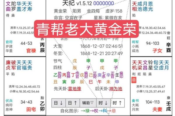 雪天紫薇斗数排盘软件