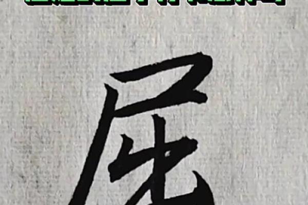 屈姓男孩名字大全-屈姓男孩起名字大全-屈姓名字大全姓名
