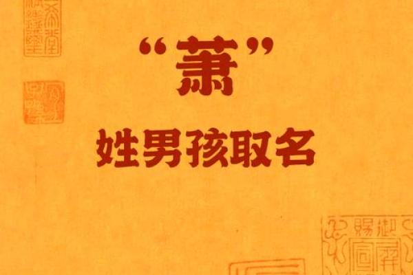 萧姓女孩名字大全-萧姓女孩起名字大全-萧姓名字大全姓名
