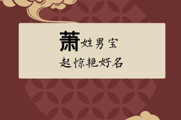 萧姓女孩名字大全-萧姓女孩起名字大全-萧姓名字大全姓名