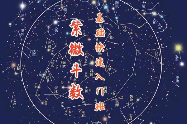 紫薇斗数初级入门