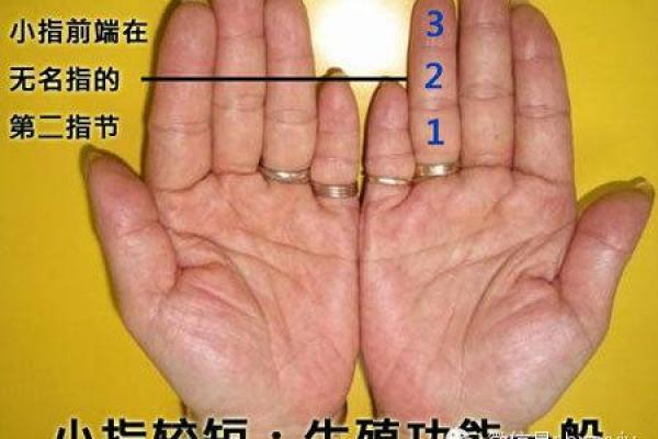小指算命，小指的长度看你的性格和命运