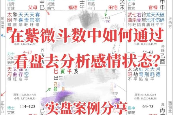 紫薇斗数与看盘