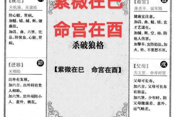 紫薇斗数小流连