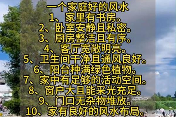 让家庭和谐青苔的风水