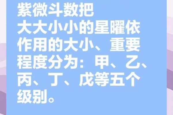 紫薇斗数的作用