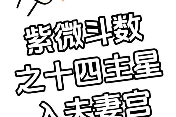 紫薇斗数夫妻天才