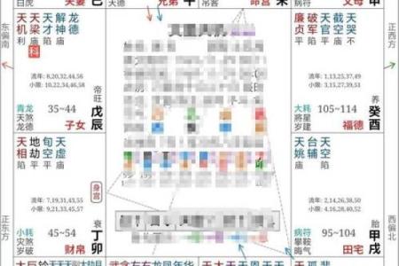 猪猪紫微斗数 紫微斗数在线排盘免费解析？