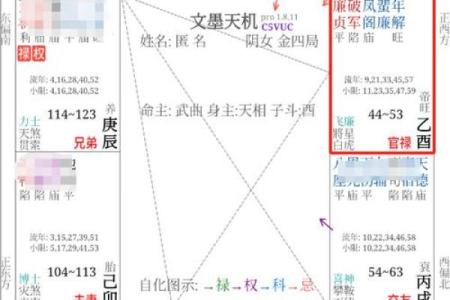 紫微斗数十四主星：太阴星概论