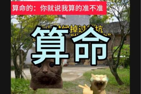 算命不说