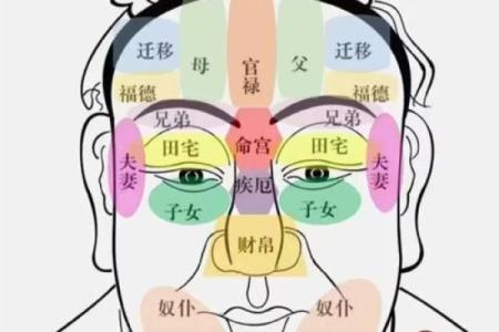 日本面相学：下巴算命