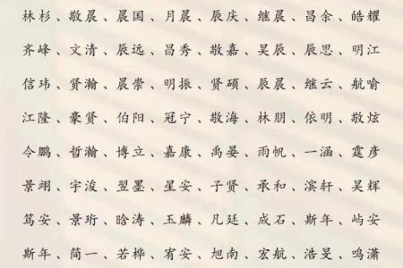 2019年3月23号午时出生的男孩如何起名姓名